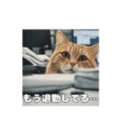 動く 働く猫 社会人 社畜（個別スタンプ：9）