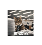 動く 働く猫 社会人 社畜（個別スタンプ：10）