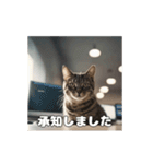 動く 働く猫 社会人 社畜（個別スタンプ：11）