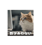 動く 働く猫 社会人 社畜（個別スタンプ：12）