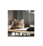 動く 働く猫 社会人 社畜（個別スタンプ：14）