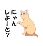 博多弁の猫ばい！【方言・訛り・九州】（個別スタンプ：1）