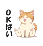 博多弁の猫ばい！【方言・訛り・九州】（個別スタンプ：2）