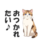 博多弁の猫ばい！【方言・訛り・九州】（個別スタンプ：5）