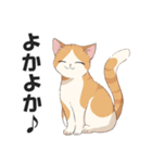 博多弁の猫ばい！【方言・訛り・九州】（個別スタンプ：8）