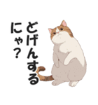 博多弁の猫ばい！【方言・訛り・九州】（個別スタンプ：10）