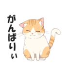 博多弁の猫ばい！【方言・訛り・九州】（個別スタンプ：14）