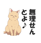 博多弁の猫ばい！【方言・訛り・九州】（個別スタンプ：15）