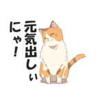 博多弁の猫ばい！【方言・訛り・九州】（個別スタンプ：16）