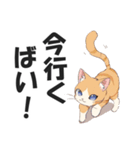 博多弁の猫ばい！【方言・訛り・九州】（個別スタンプ：17）