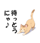 博多弁の猫ばい！【方言・訛り・九州】（個別スタンプ：18）