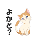 博多弁の猫ばい！【方言・訛り・九州】（個別スタンプ：19）