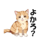 博多弁の猫ばい！【方言・訛り・九州】（個別スタンプ：20）