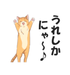 博多弁の猫ばい！【方言・訛り・九州】（個別スタンプ：22）