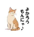 博多弁の猫ばい！【方言・訛り・九州】（個別スタンプ：24）