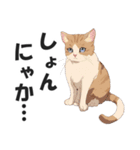 博多弁の猫ばい！【方言・訛り・九州】（個別スタンプ：29）