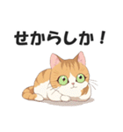 博多弁の猫ばい！【方言・訛り・九州】（個別スタンプ：30）