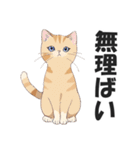 博多弁の猫ばい！【方言・訛り・九州】（個別スタンプ：32）