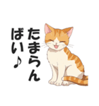 博多弁の猫ばい！【方言・訛り・九州】（個別スタンプ：37）