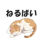 博多弁の猫ばい！【方言・訛り・九州】（個別スタンプ：39）