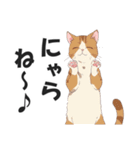 博多弁の猫ばい！【方言・訛り・九州】（個別スタンプ：40）