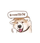 しらさぎ動物病院スタンプ犬（個別スタンプ：2）
