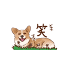 しらさぎ動物病院スタンプ犬（個別スタンプ：3）
