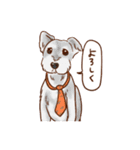 しらさぎ動物病院スタンプ犬（個別スタンプ：4）