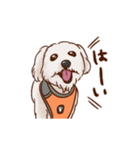 しらさぎ動物病院スタンプ犬（個別スタンプ：5）