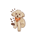 しらさぎ動物病院スタンプ犬（個別スタンプ：7）