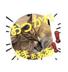 ウニセン2（個別スタンプ：2）