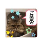 ウニセン2（個別スタンプ：3）