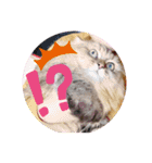 ウニセン2（個別スタンプ：4）