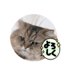 ウニセン2（個別スタンプ：5）