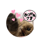 ウニセン2（個別スタンプ：7）
