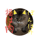 ウニセン2（個別スタンプ：10）
