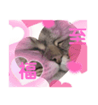 ウニセン2（個別スタンプ：14）
