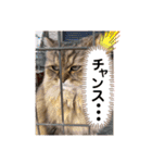 ウニセン2（個別スタンプ：19）
