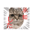 ウニセン2（個別スタンプ：20）