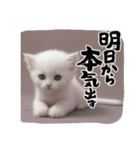 子猫の一言！！（個別スタンプ：5）