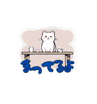 1年中使える猫スタンプ（個別スタンプ：7）