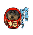 立ち耳チワックスちゃんシリーズ②（個別スタンプ：31）