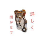 ろとくんスタンプ日常（個別スタンプ：1）