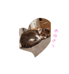 ろとくんスタンプ日常（個別スタンプ：10）