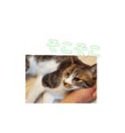 ろとくんスタンプ日常（個別スタンプ：17）