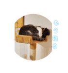 ろとくんスタンプ日常（個別スタンプ：18）