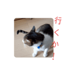 ろとくんスタンプ日常（個別スタンプ：21）