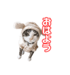 こてつ＆まーあスマイル（個別スタンプ：1）