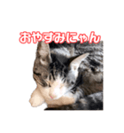 こてつ＆まーあスマイル（個別スタンプ：7）