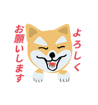 柴犬【しばぞうくん・まめぞうくん】☆☆☆（個別スタンプ：5）